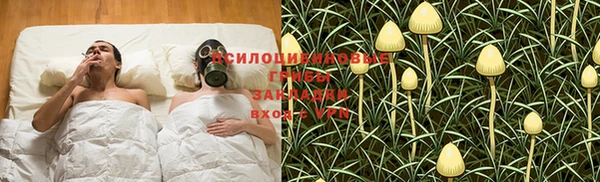 МДМА Богданович